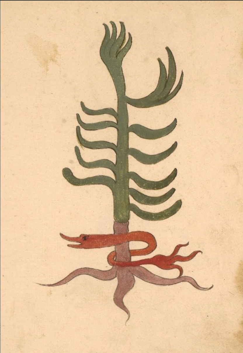 Medieval Manuscript Chainstitched Patch