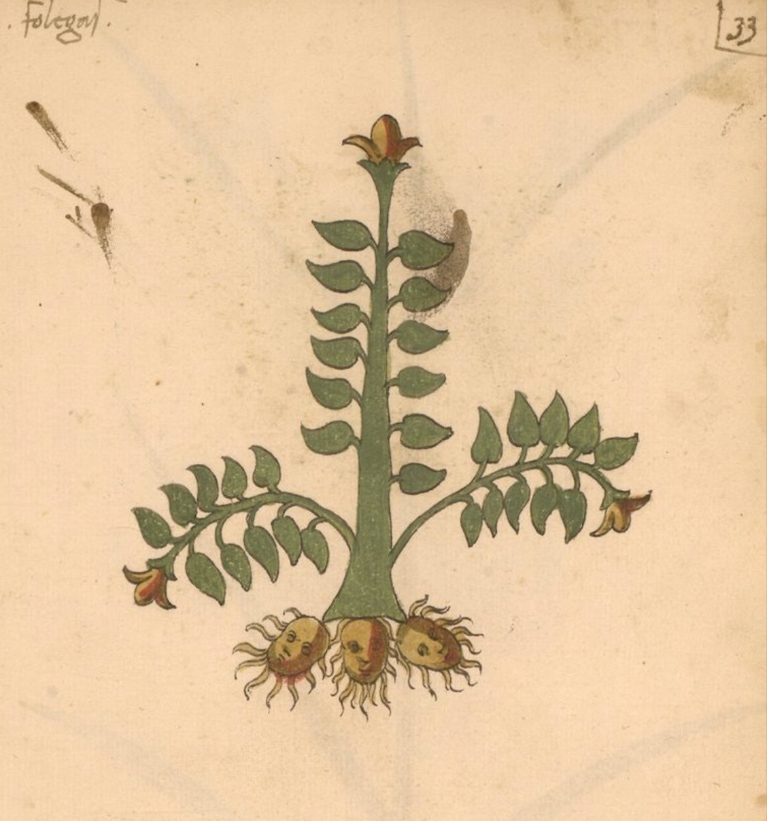 Medieval Manuscript Chainstitched Patch