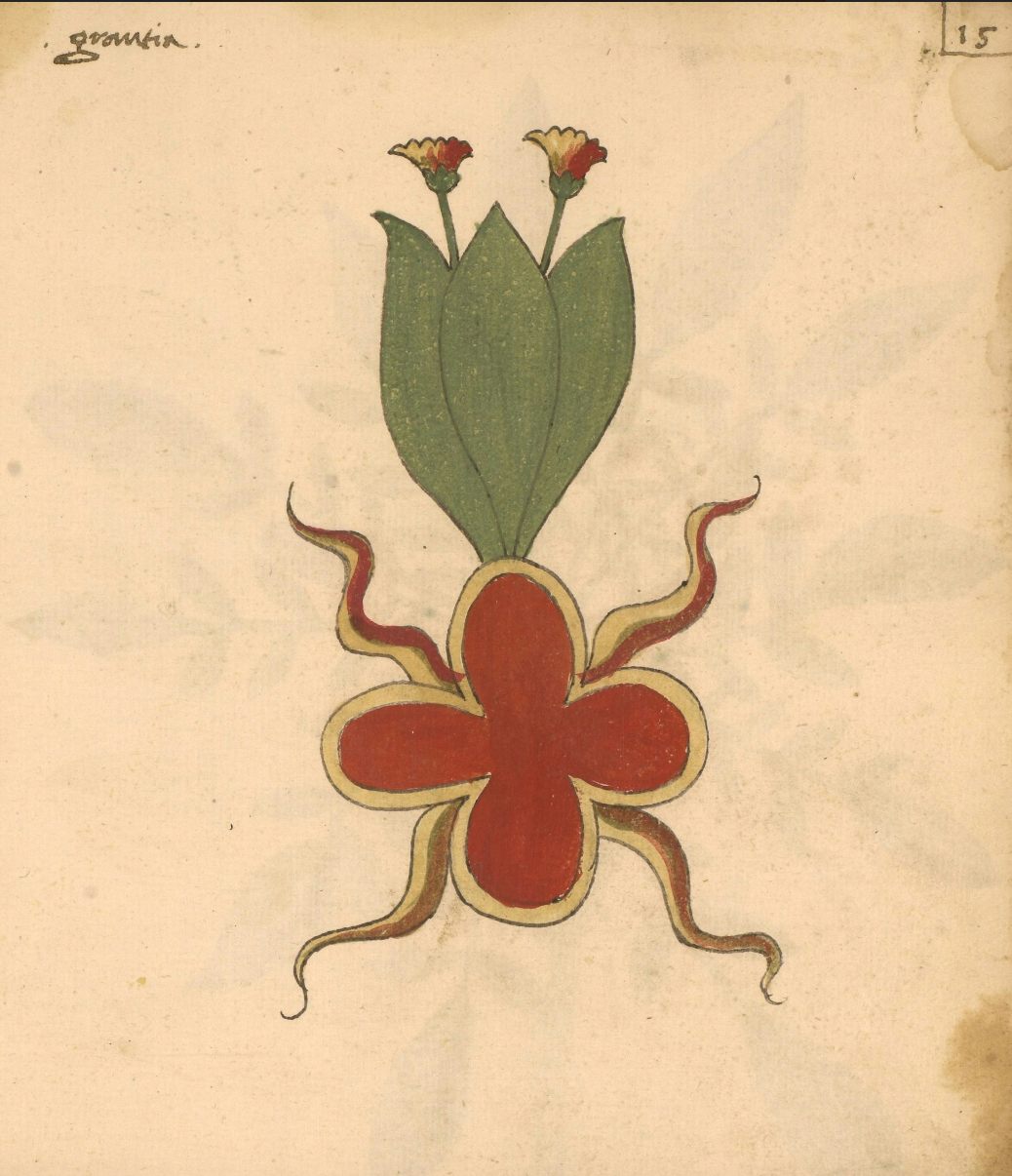 Medieval Manuscript  Chainstitched Patch