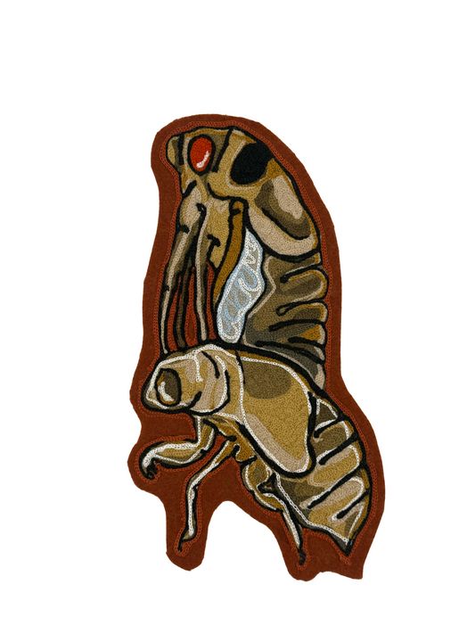 Large Cicada Chainstitched Patch